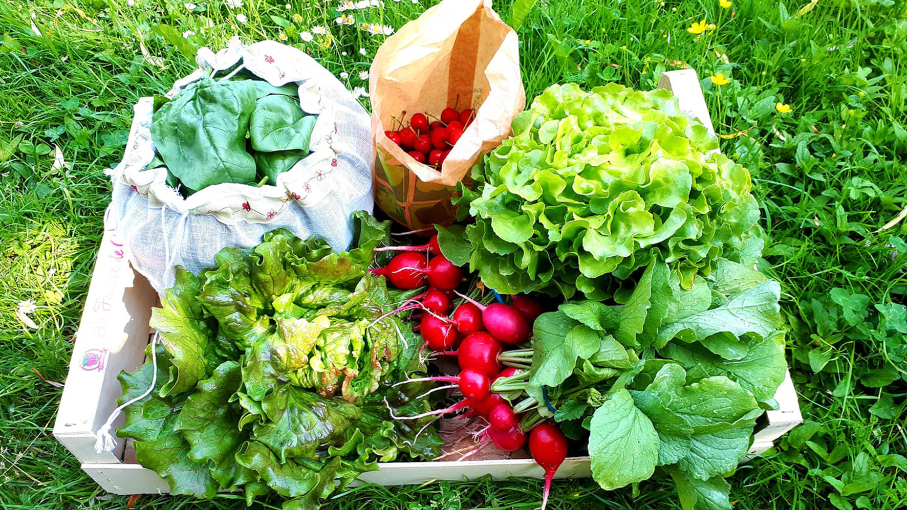 MOSL Attractivité : Quatre petits nouveaux