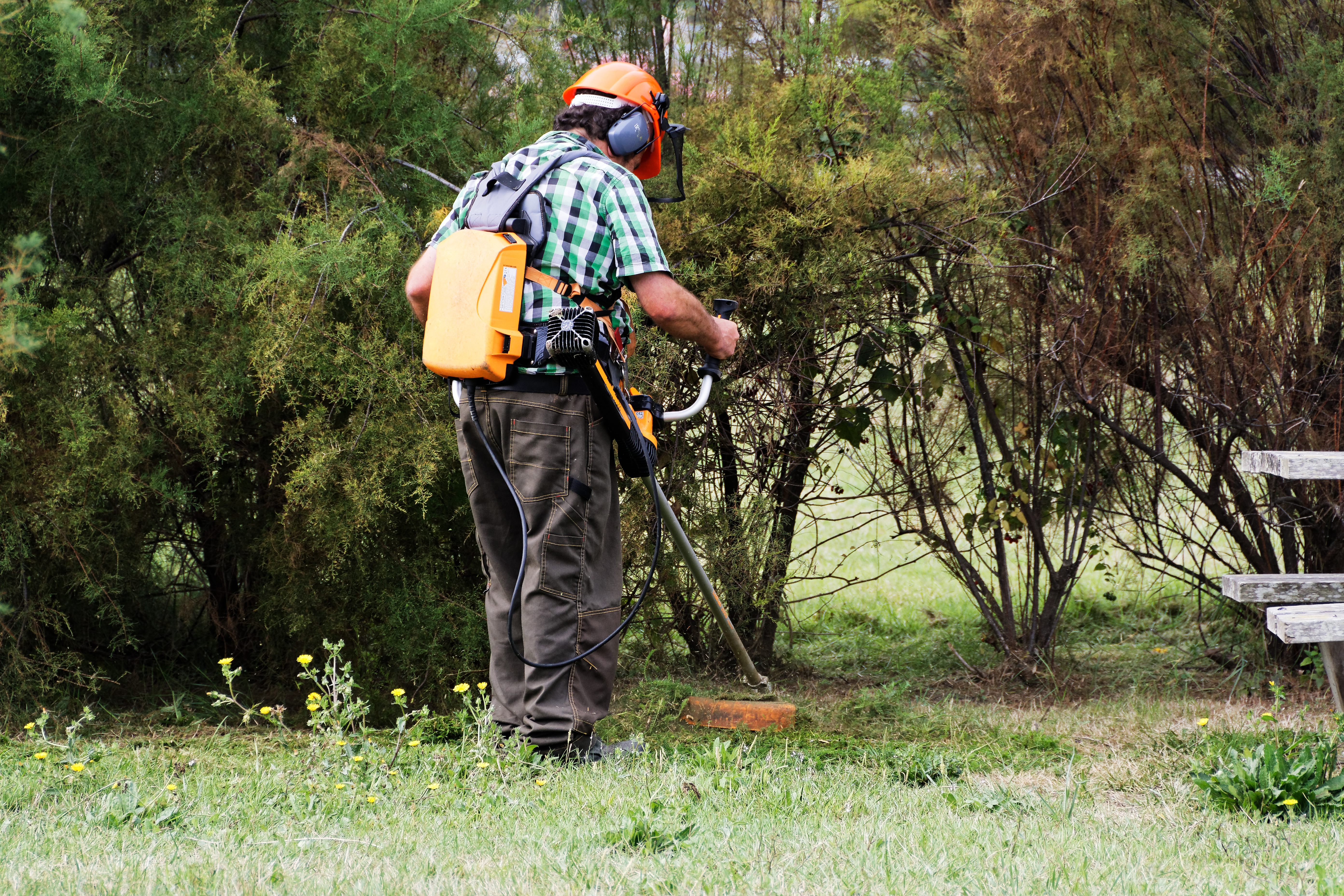 La Dares alerte sur la viabilité des structures d'insertion par l'économie