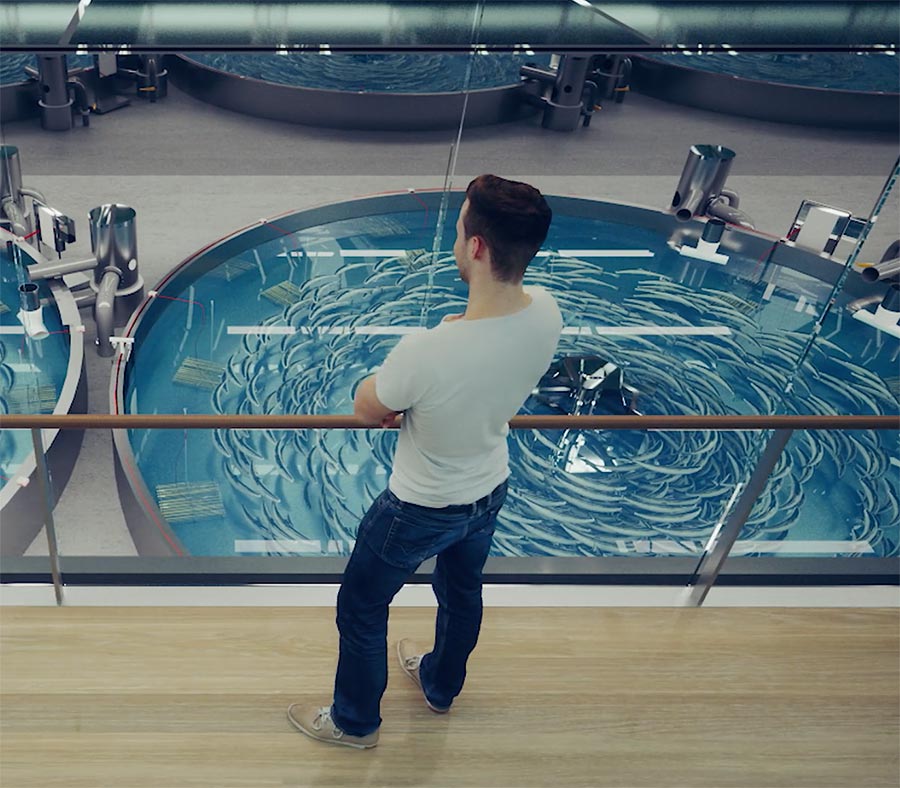 «Boulogne présente un héritage et une culture profonde des produits de la mer»