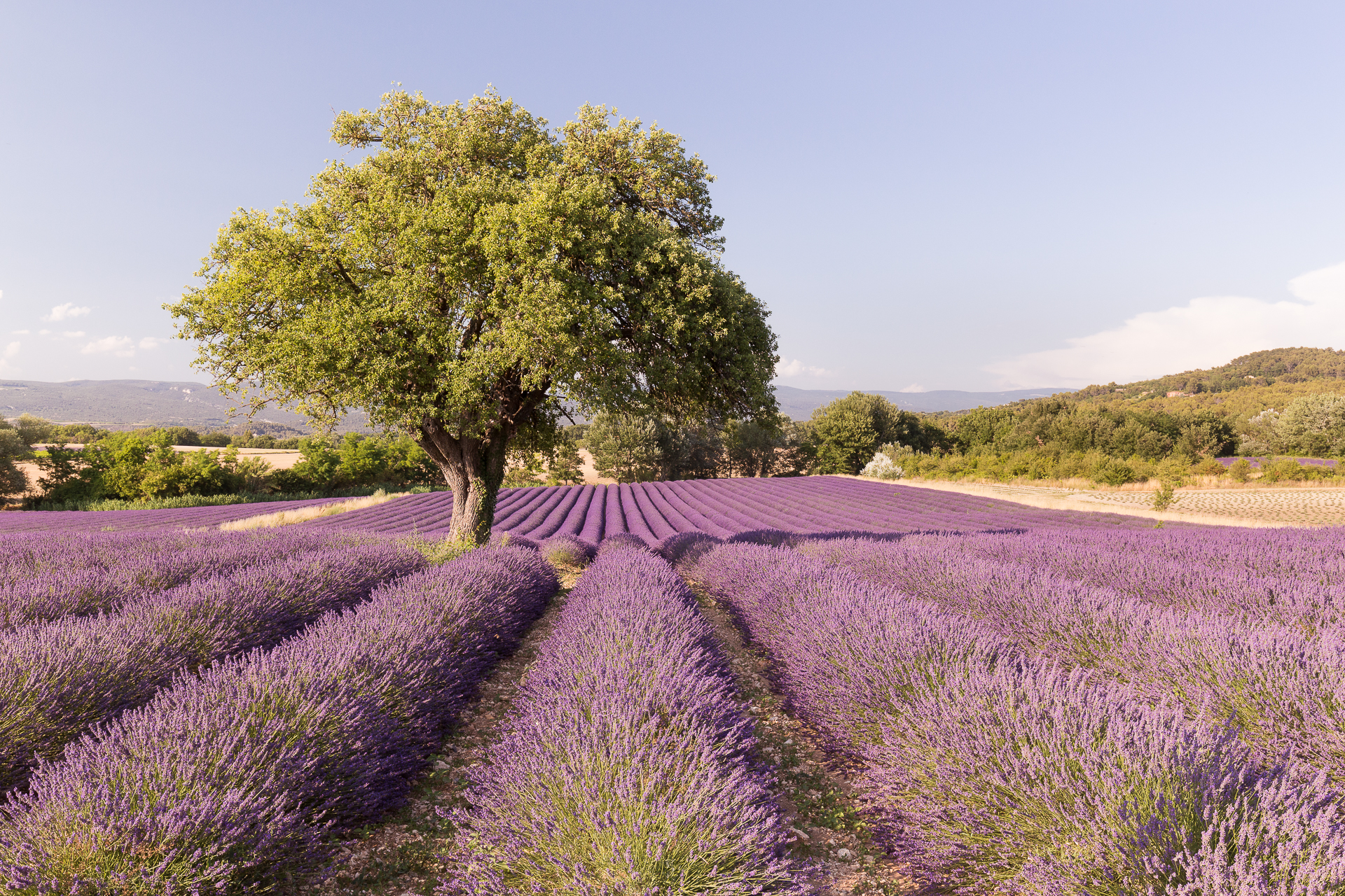 En voir de toutes les couleurs en Luberon