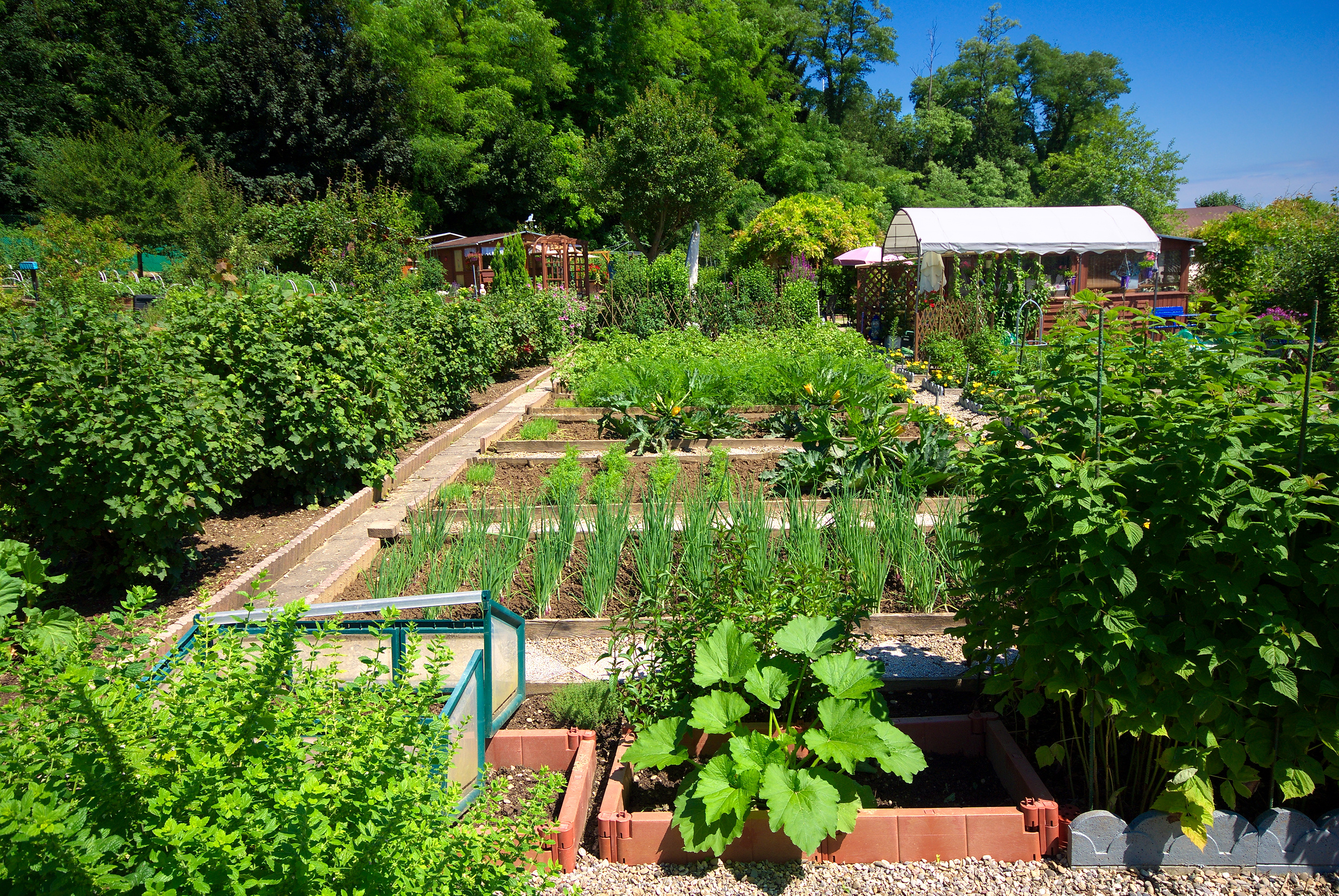 Le bio pousse et s'enracine dans la région