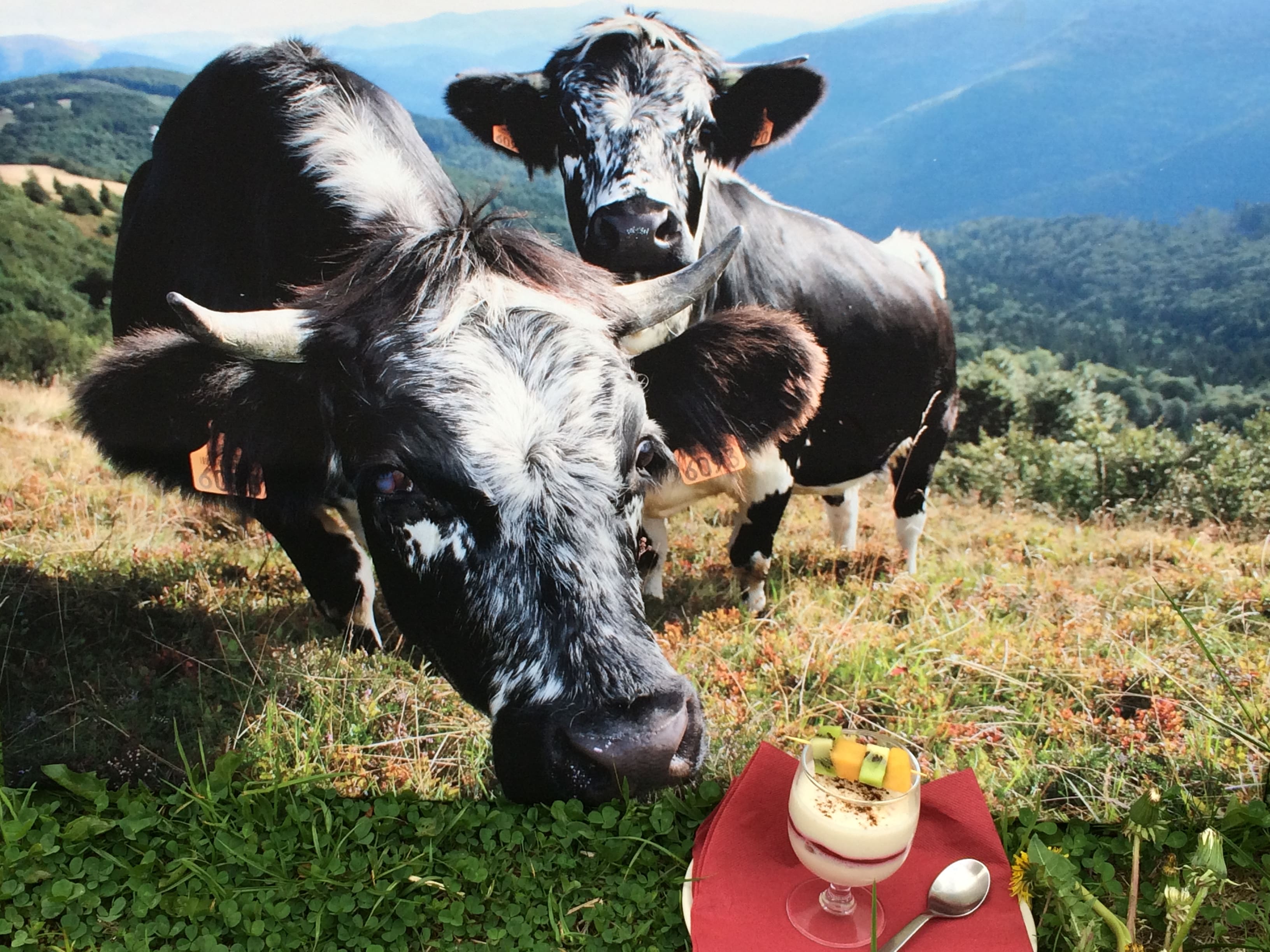 Pied du Hohneck : Pour des escapades inoubliables en pleine nature