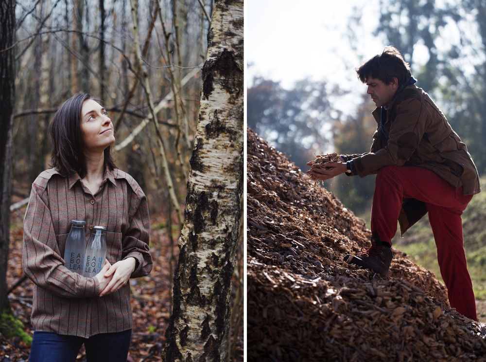 De l’eau de bouleau picarde