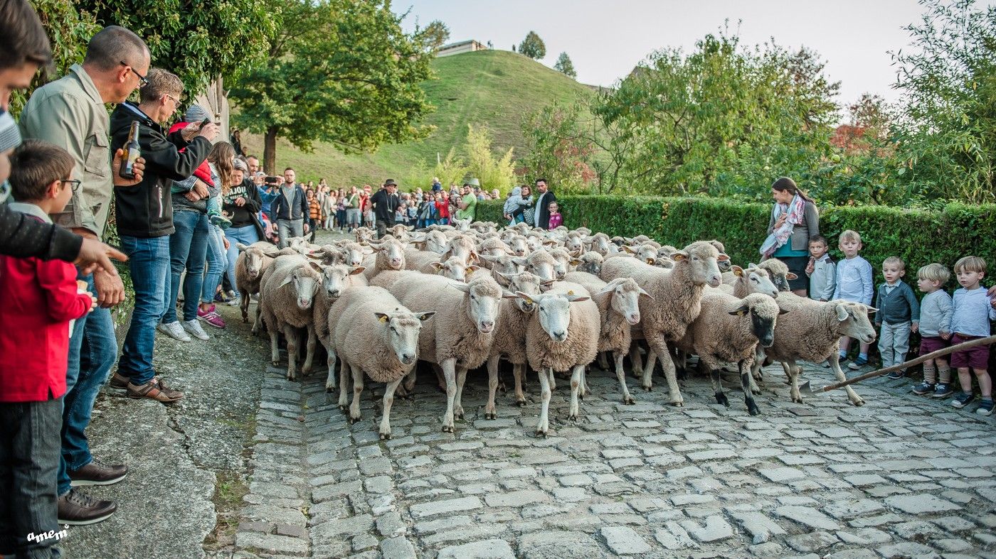 Le marché paysan de Bitche, ode au terroir