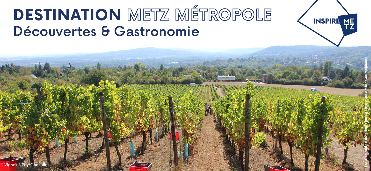 Le Greeter, ce fan de Metz Métropole