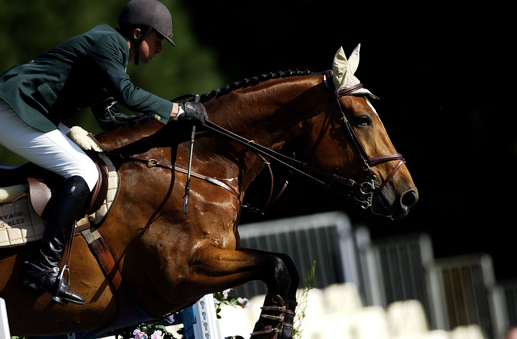 L'hippodrome de Chantilly réunira les meilleurs cavaliers