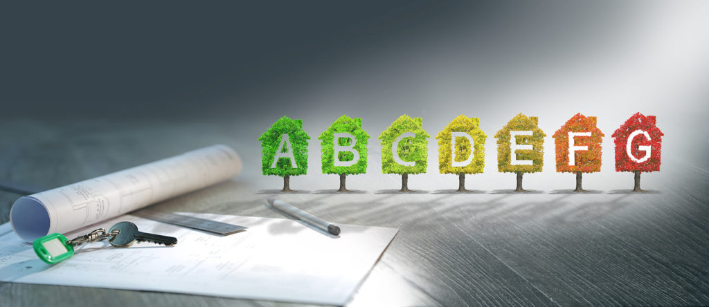 La pomme de la discorde verte