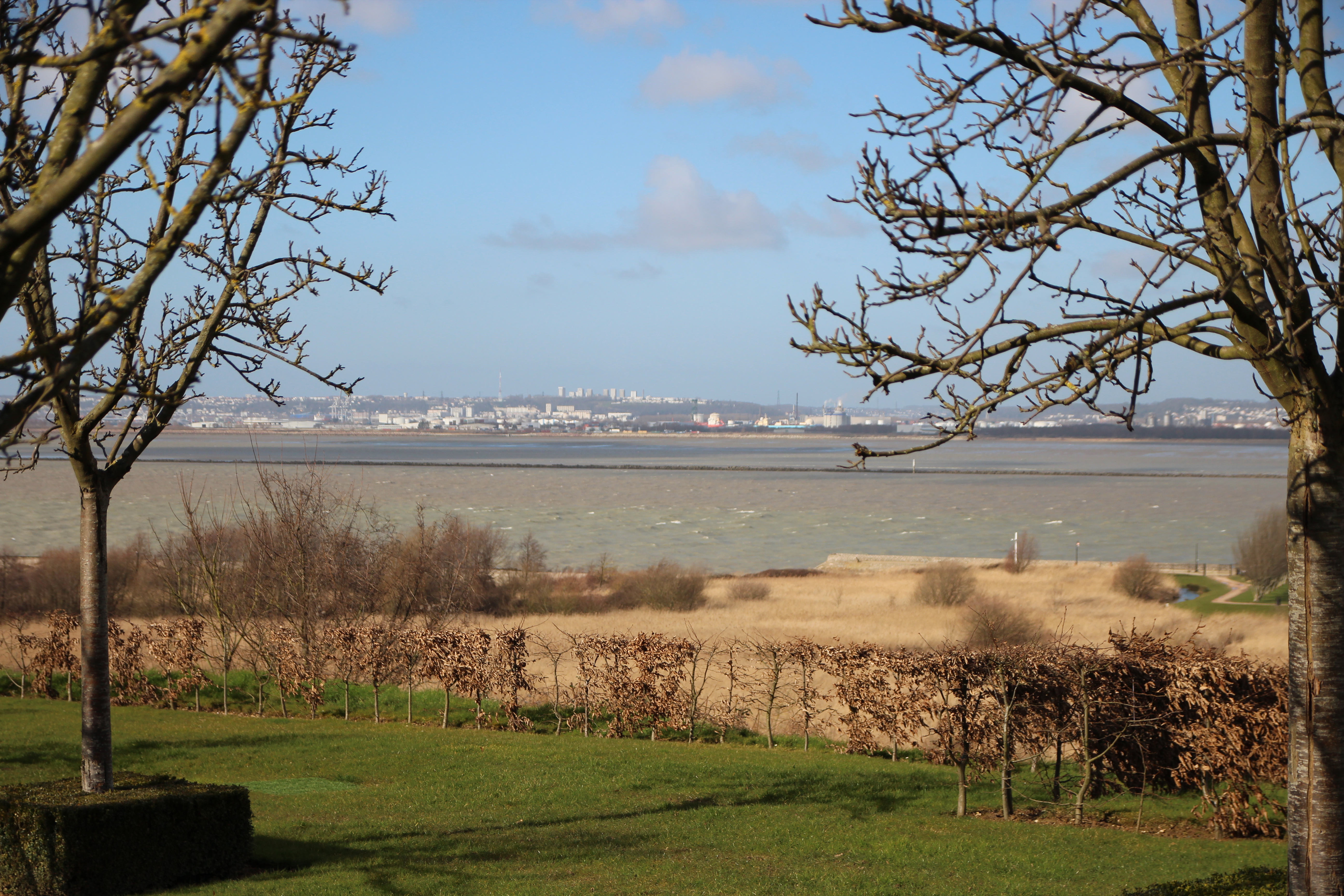 Le tourisme seinomarin fait grise mine