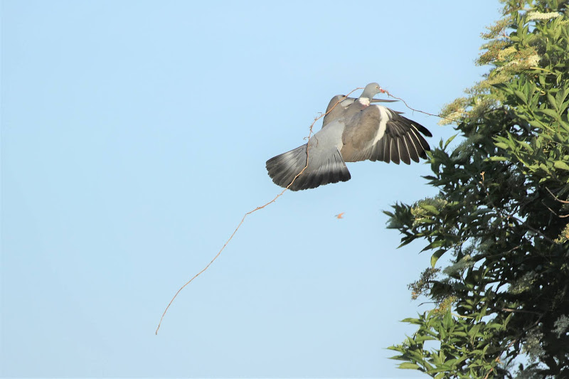 Illange : la chapelle hors de ses murs