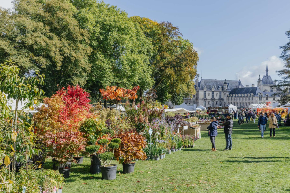 Une nouvelle russite pour Les Journes des Plantes de Chantilly | La  Gazette France