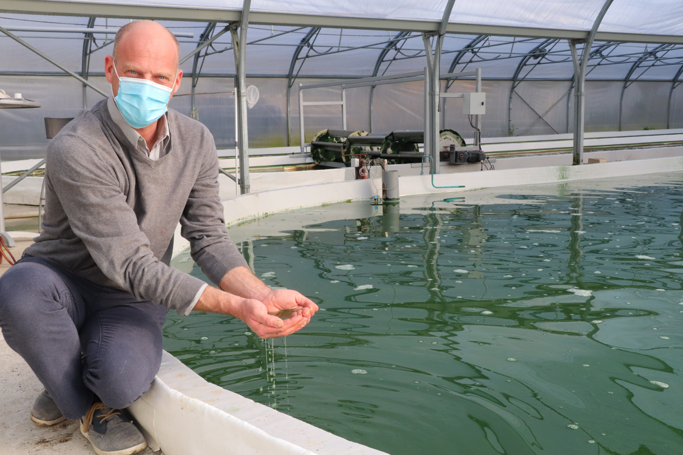 La spiruline se développe dans des bassins à 37°C.