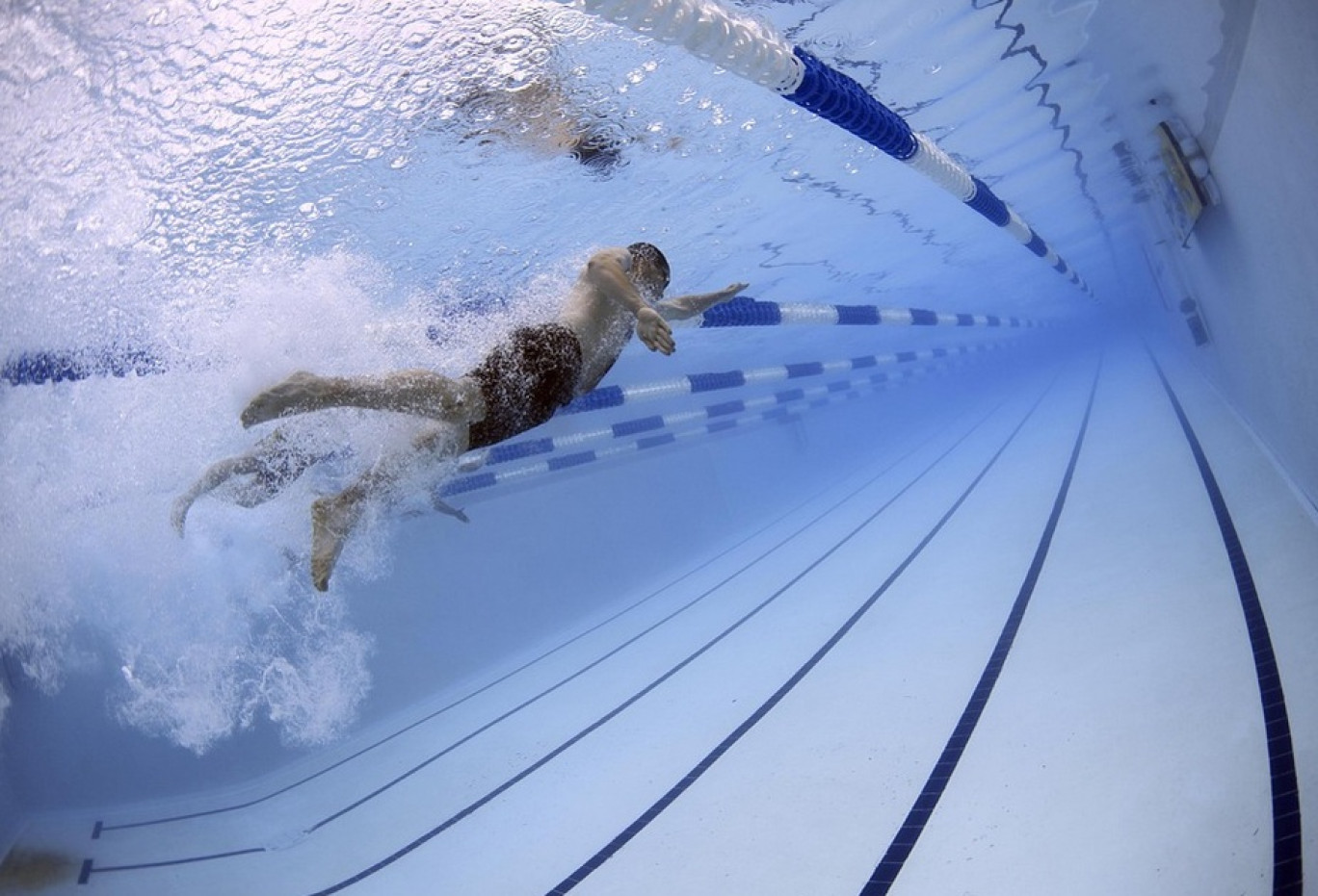 Dès sa mise en service, le pôle nautique pourrait accueillir des événements artistiques et sportifs.