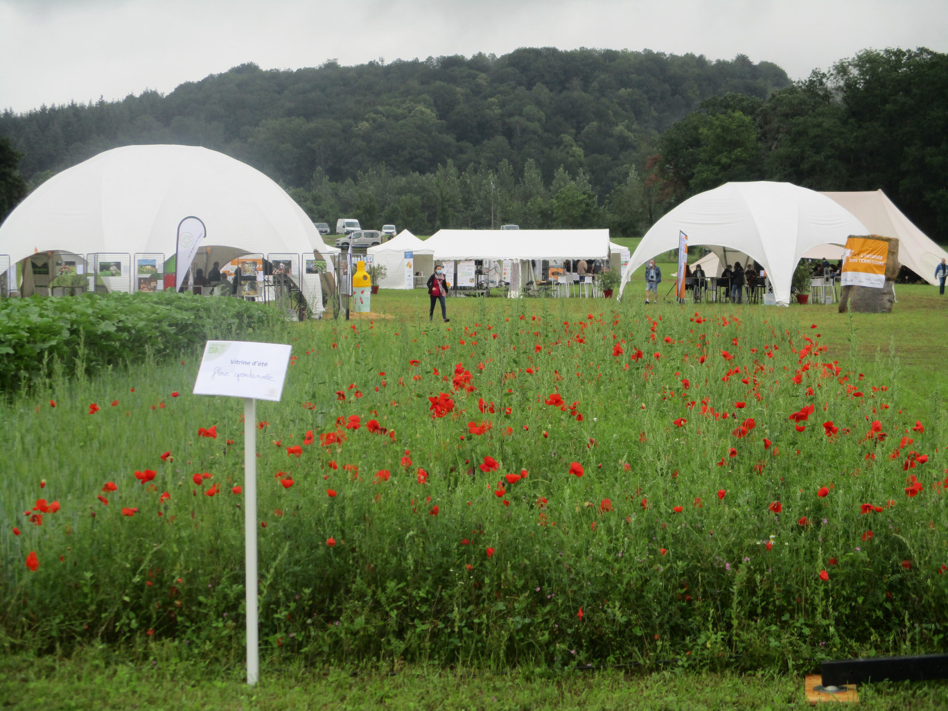 Les visiteurs ont pu découvrir deux hectares de démonstration, 150 vitrines végétales, ainsi qu’un village rassemblant 85 exposants.