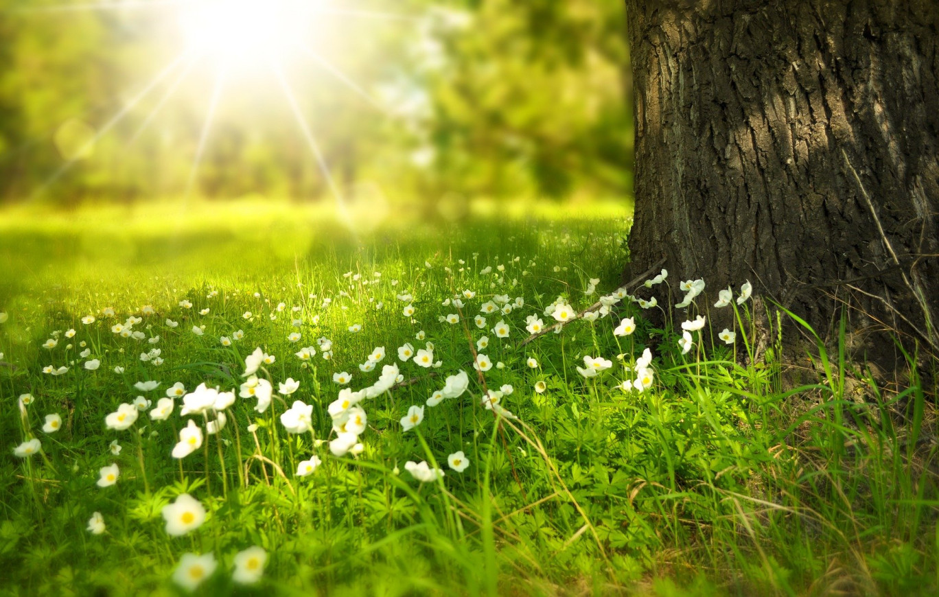 Préserver la biodiversité : un enjeu vital et immédiat.