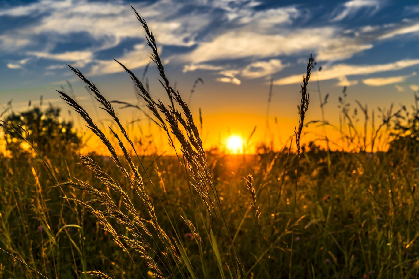 Tendre vers une agriculture faisant la part belle à la transition biologique et non productiviste.