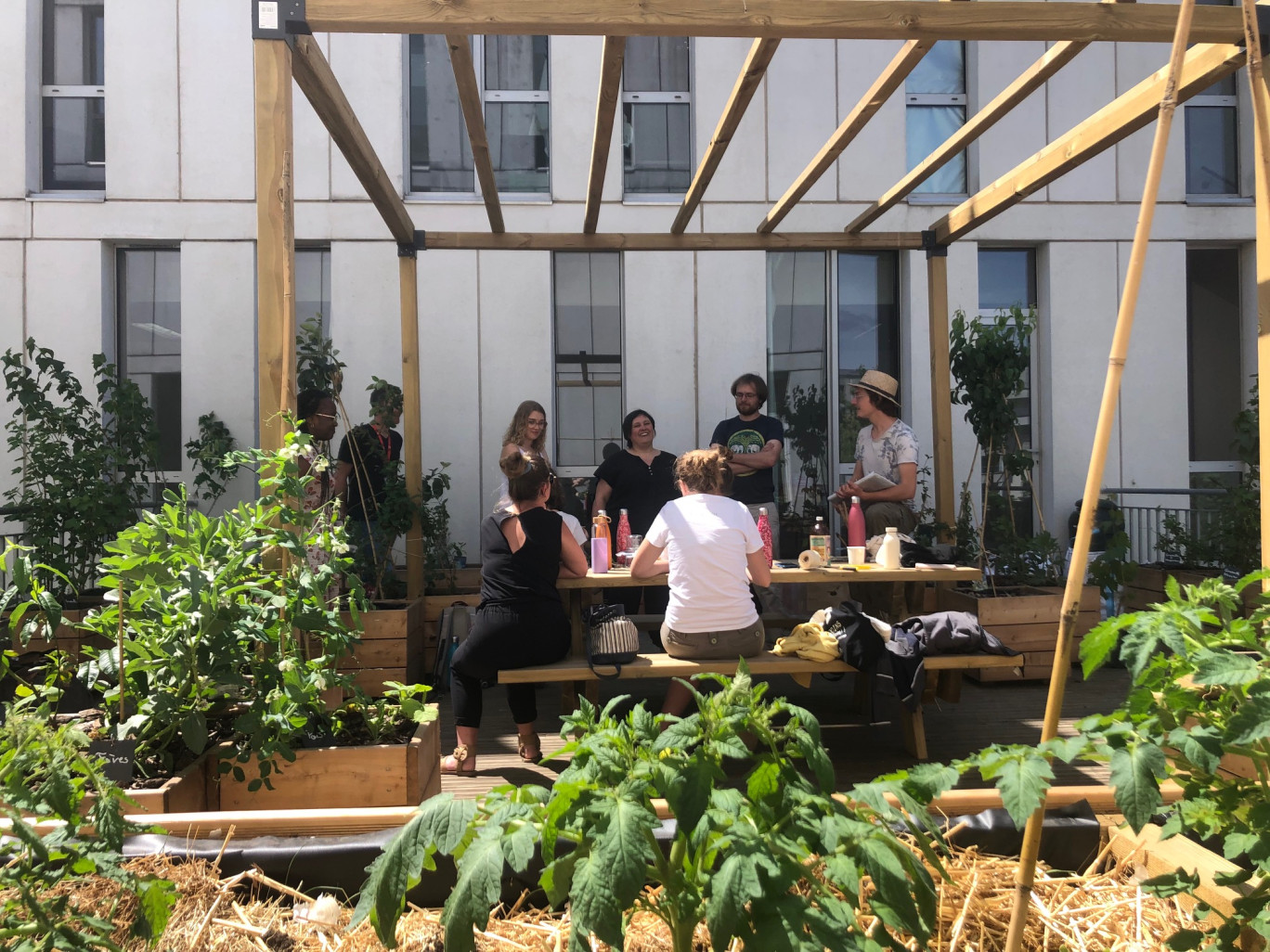 Dernier aménagement en permaculture sur la terrasse de l'Institut supérieur d’agriculture Groupe Junia à Lille.
