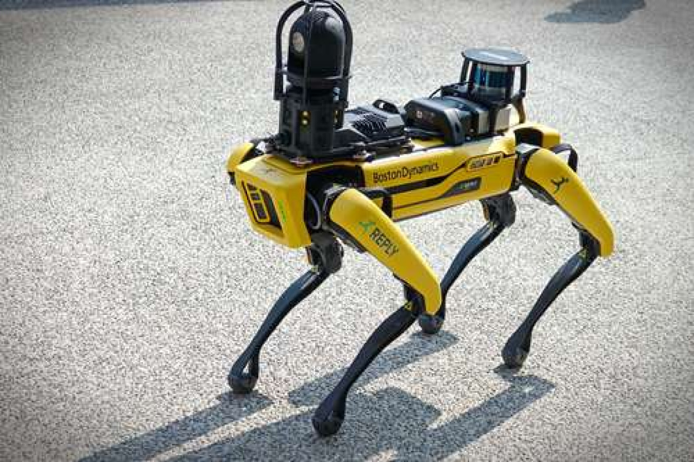 Mini robot. Photo d'illustration. (c)Mike Dot