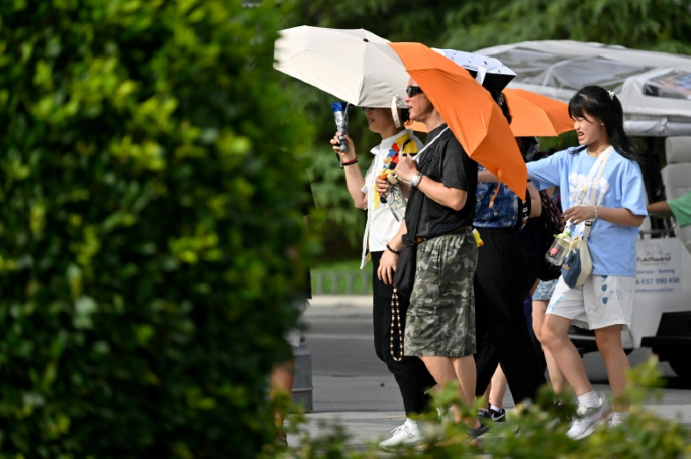 Des touristes sous des ombrelles devant le Palais Royal de Madrid le 18 juillet 2023 © JAVIER SORIANO