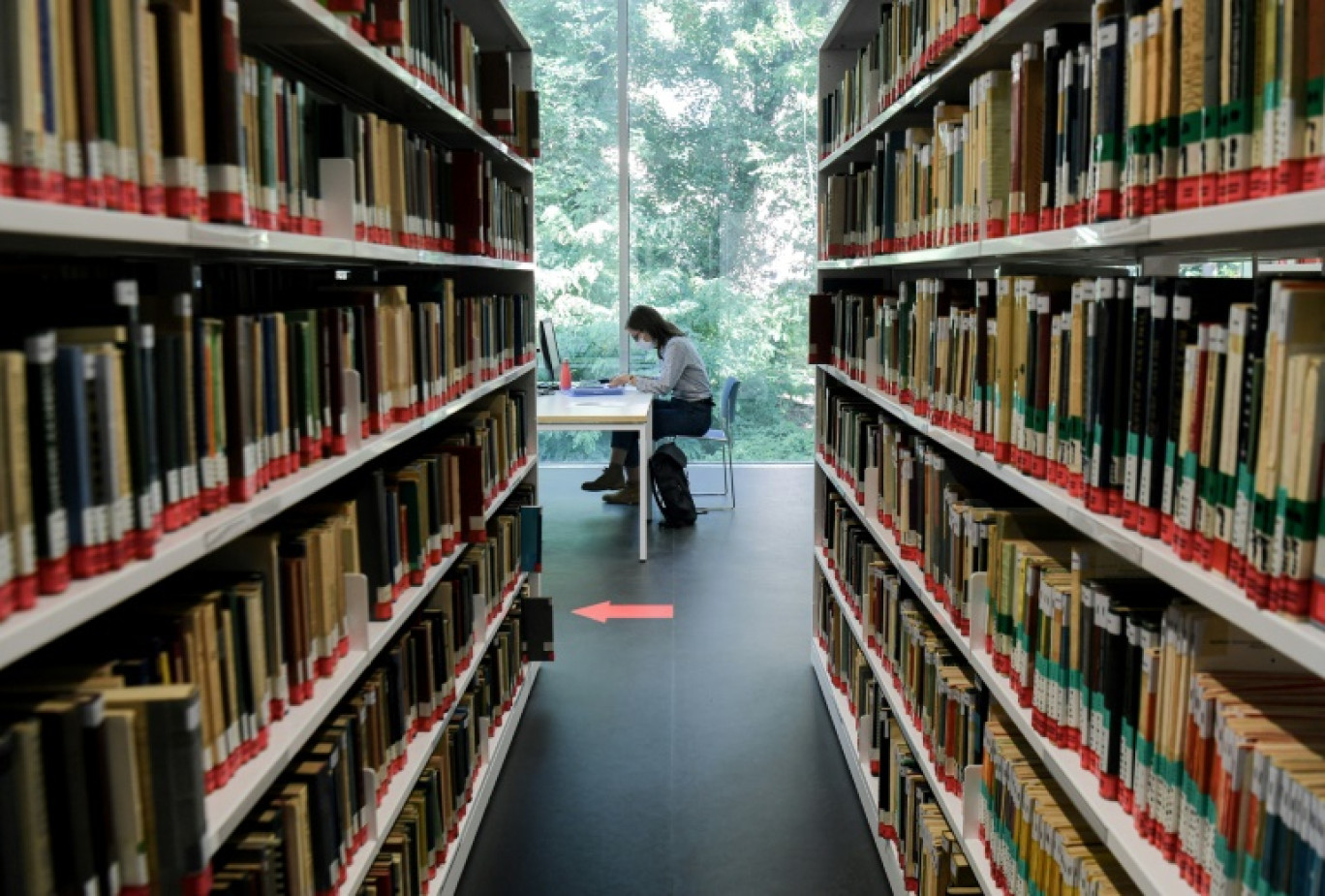 Les thèses attirent moins d'étudiants qu'auparavant, notamment dans les filières scientifiques © ALAIN JOCARD