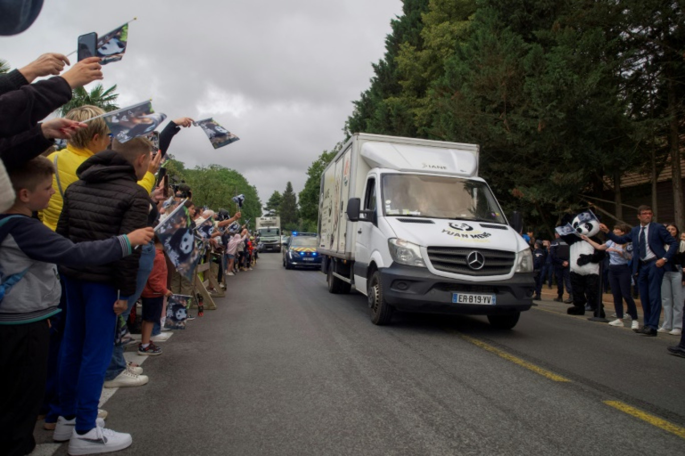 Le public salue le panda Yuan Meng qui quitte le ZooParc de Beauval pour rejoindre la Chine par avion, le 25 juillet 2023 à Saint-Aignan, dans le Loir-et-Cher © GUILLAUME SOUVANT