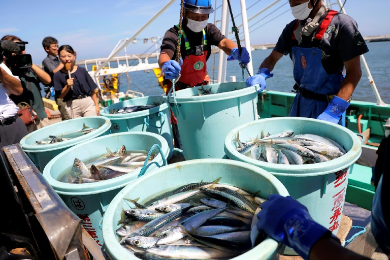 Des pêcheurs déchargent leur pêche au port de Matsukawaura, le 1er septembre 2023 à Soma, une semaine après que les eaux traitées de la centrale nucléaire de Fukushima Daiichi ont été rejetées dans l'océan © STR