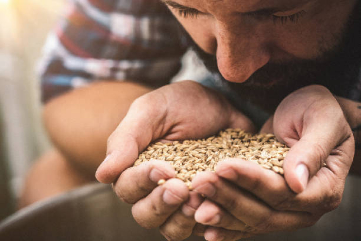 La filière des brasseries artisanales s'engage pour une économie locale et responsable.