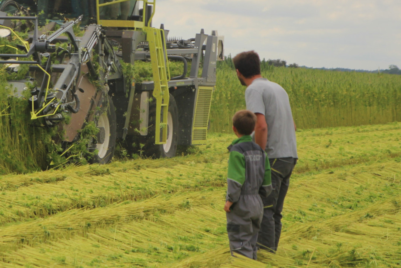 Le renouvellement des générations est un enjeu de taille pour l’agriculture régionale, comme à Moliens, durant la première récolte de chanvre du département.(@Aletheia Press/BDelabre)