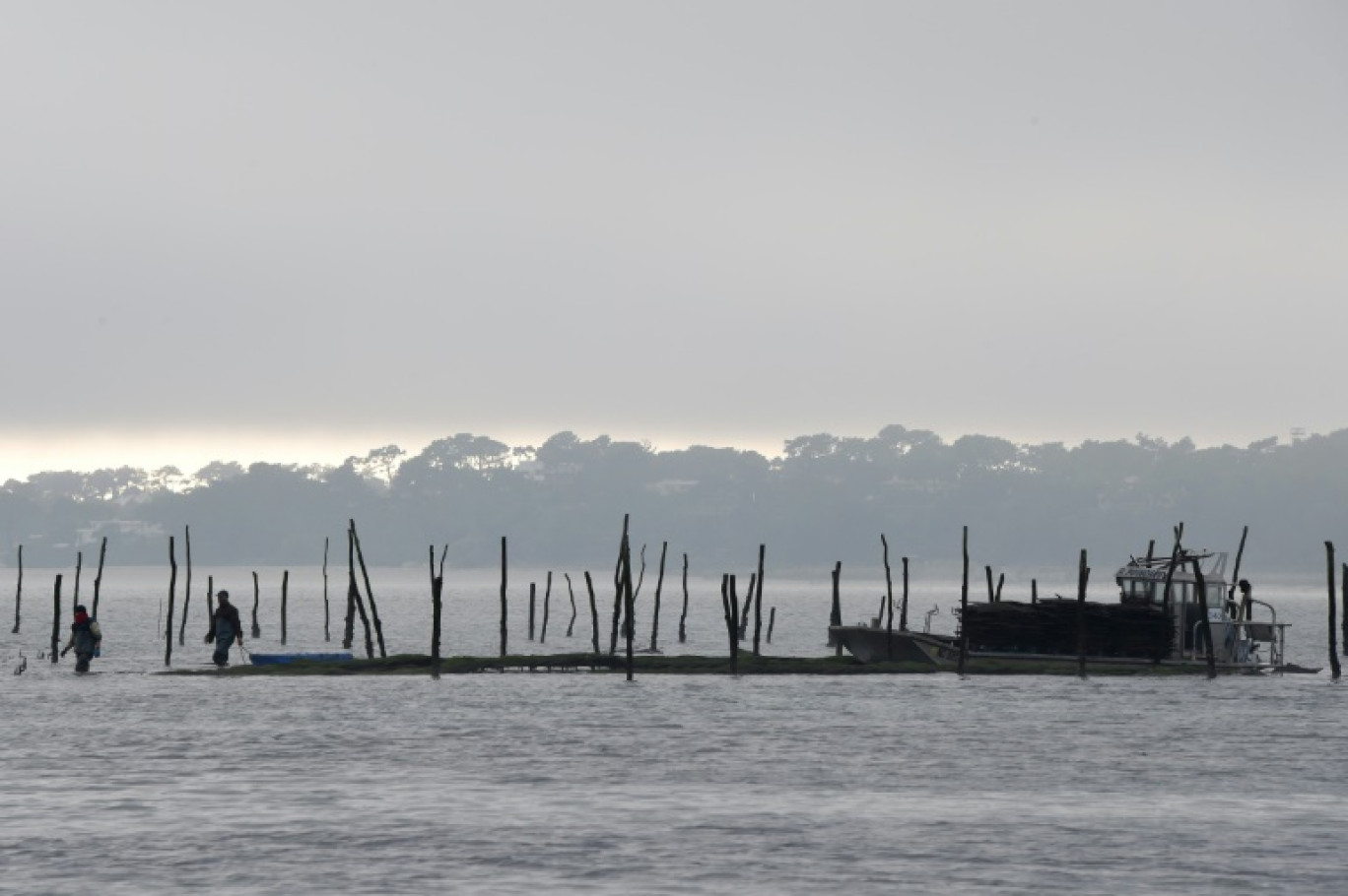 Un parc ostréicole sur la Bassin d'Arcachon le 6 décembre 2017 © MEHDI FEDOUACH
