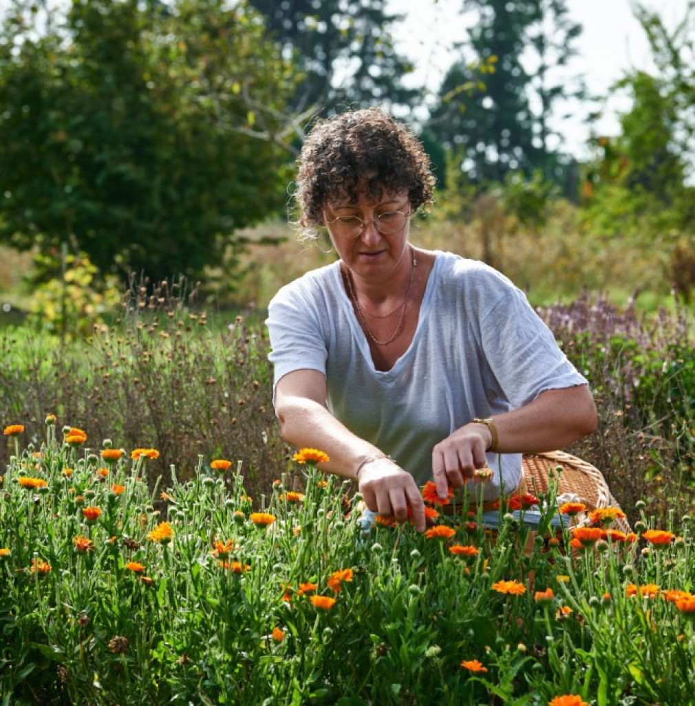 La production de plantes aromatiques bio de « papilles et camomille » se niche au cœur du « Jardin des partages », à Mesnil-Théribus. (© DB)