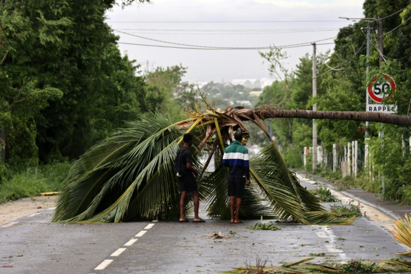 Des habitants davant un arbre tombé sur une route après le passage du cyclone Belal à Saint-Paul, le 15 janvier 2024 à La Réunion © Richard BOUHET