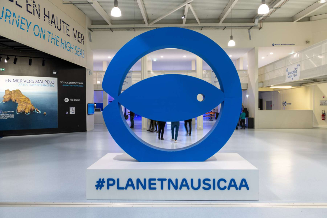 Nausicaá célèbre une année exceptionnelle, marquée par la visite de 907 305 personnes. © Pixavril