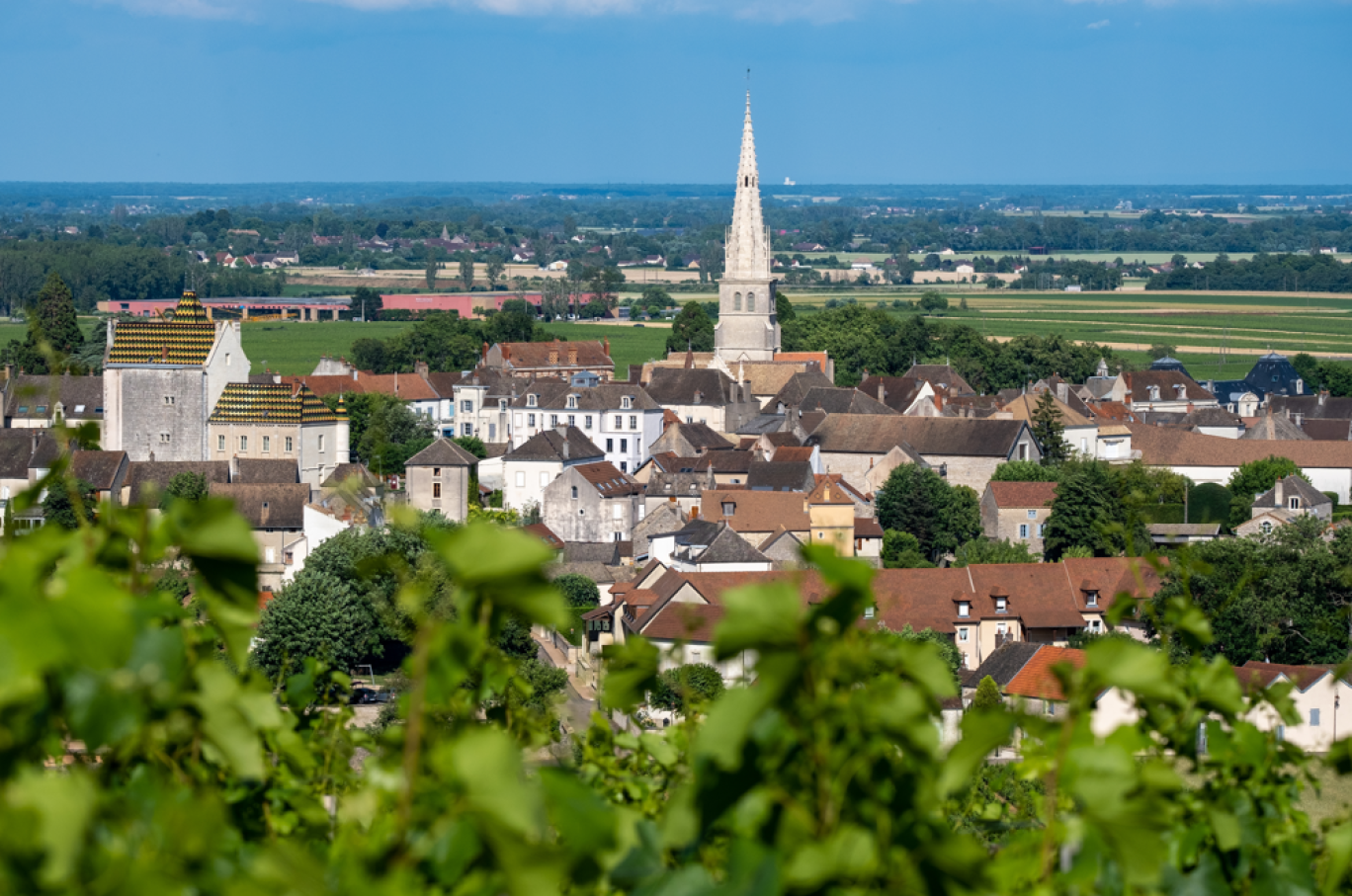 Meursault, fait partie des villages labellisés. © Adobe Stock.