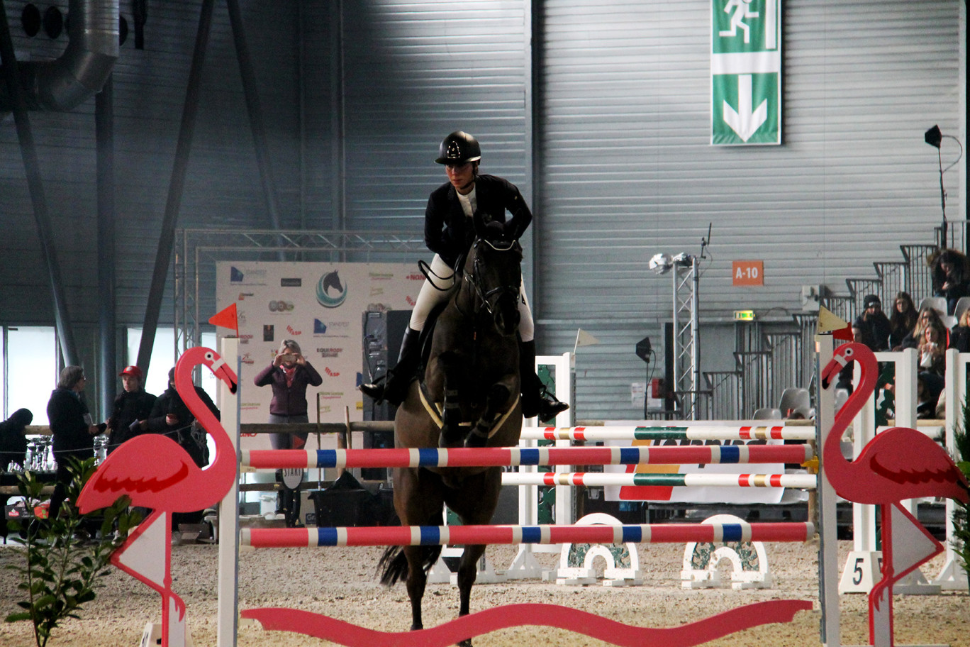 À cheval ! La quatrième édition de Cheval expo, salon consacré à l’univers du cheval, revient du 26 au 28 janvier prochain au parc des expositions de Nancy.
