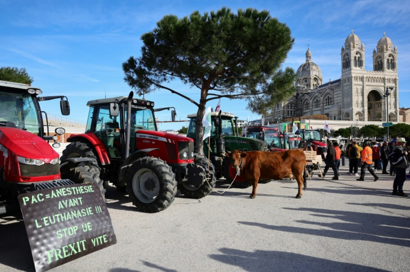 Des agriculteurs manifestent à Marseille, le 19 février 2024 © CLEMENT MAHOUDEAU
