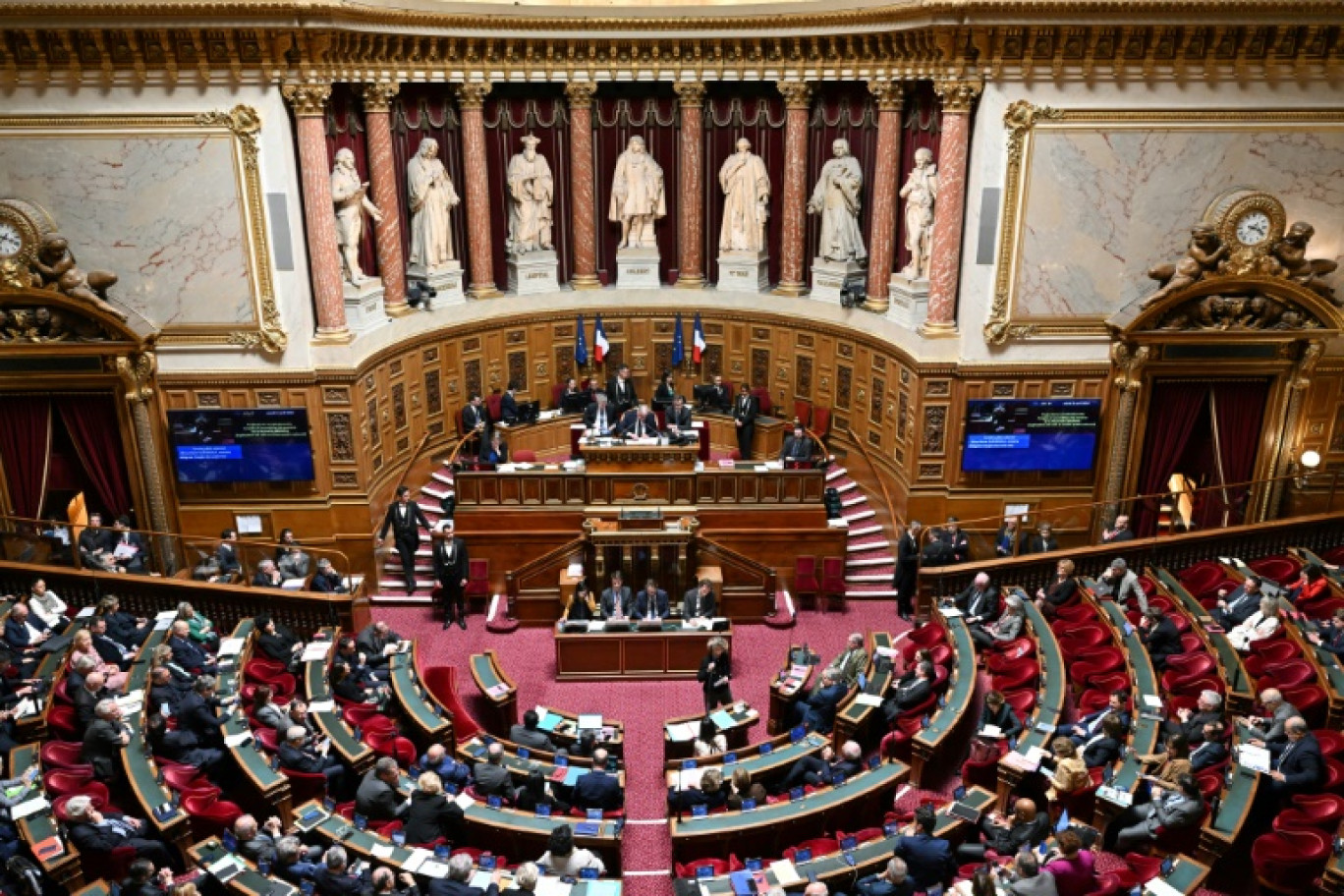 La ministre déléguée aux Outre-mer Marie Guévenoux devant le Sénat, le 2 avril 2024 à Paris © Bertrand GUAY