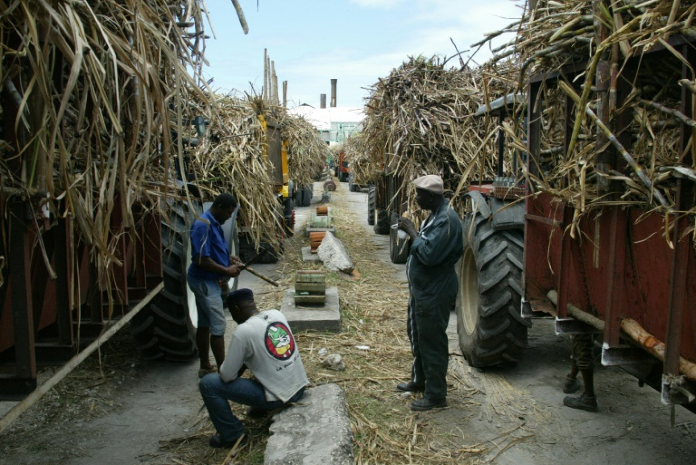 Des remorques pleines de canne à sucre devant la sucrerie de Grand-Anse à Grand Bourg sur l'île de Marie-Galante en Guadeloupe, le 12 Avril 2007 © MARCEL MOCHET