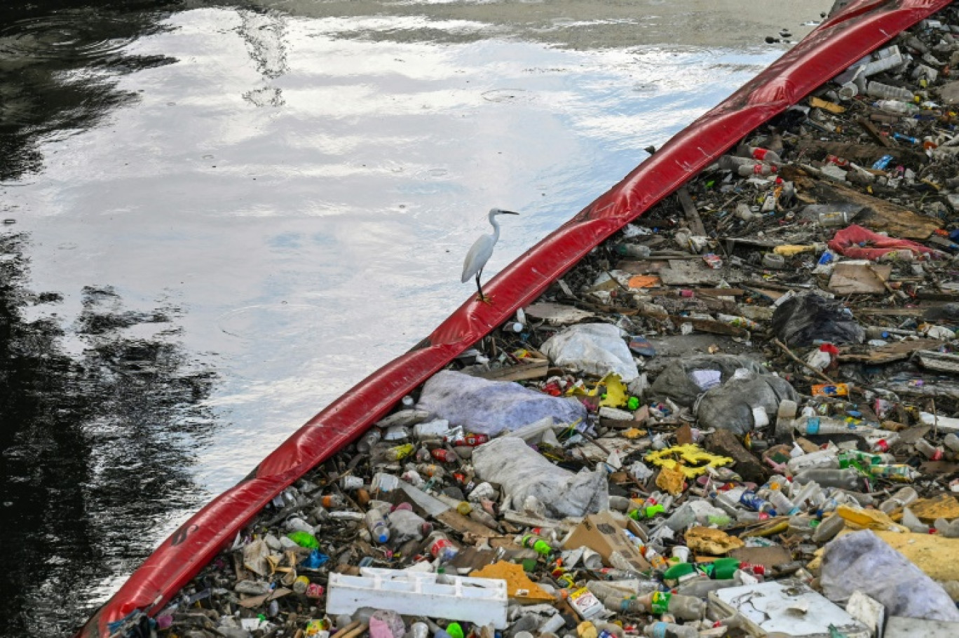 Un oiseau se pose sur une barrière repoussant les déchets le 1er avril 2024 sur une rivière de Manille © JAM STA ROSA