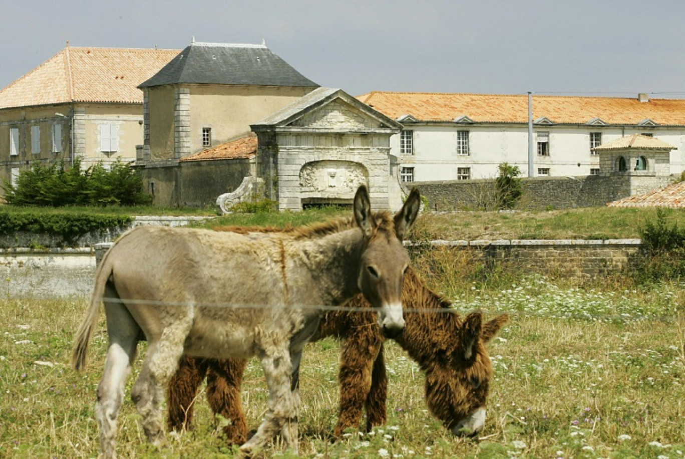 Photo prise le 27 juillet 2004 de la centrale de Saint-Martin-de-Ré © PATRICK BERNARD