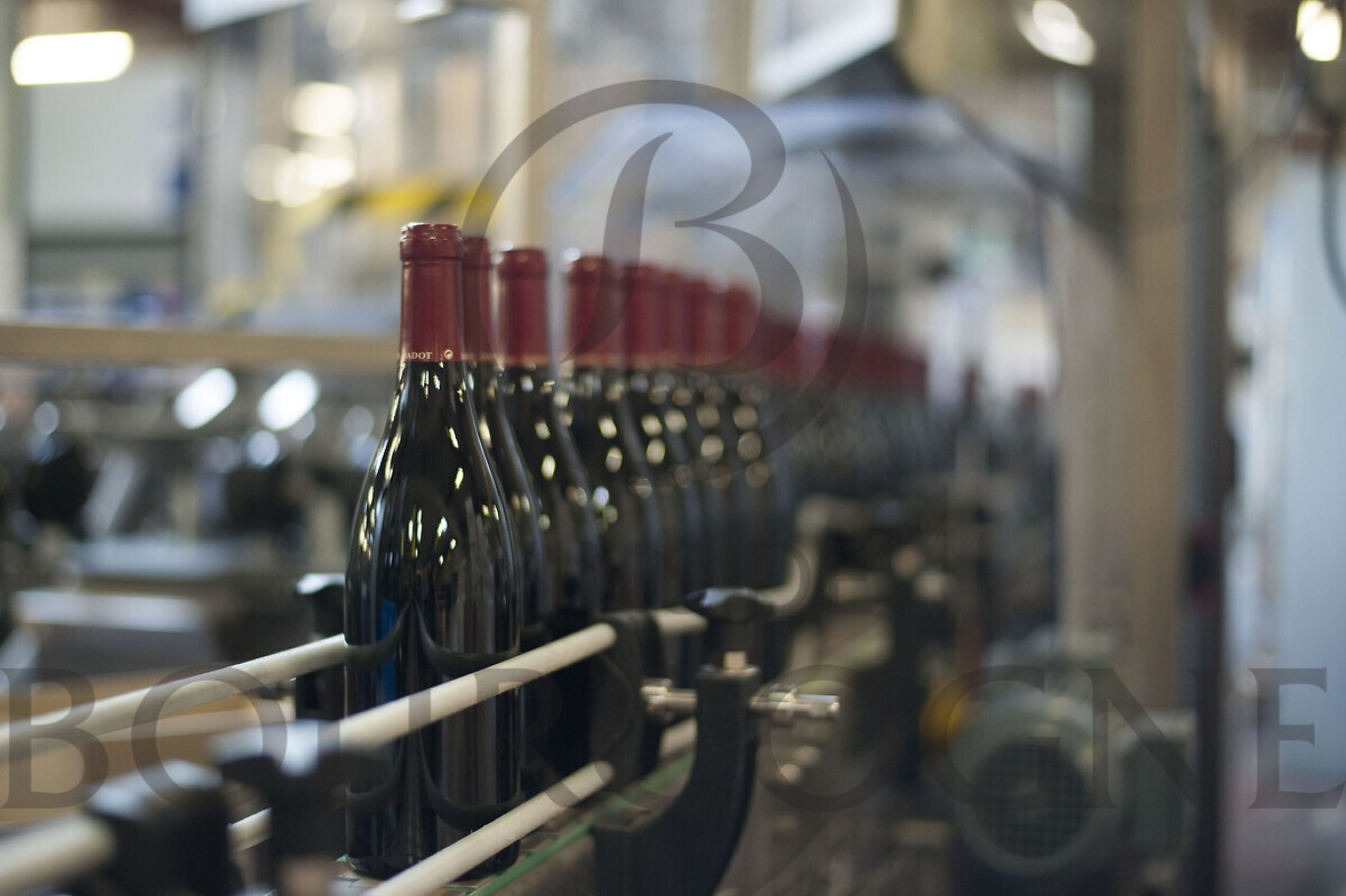 Une chaîne de préparation des vins de Bourgogne. © BIVB / Jessica VUILLAUME
