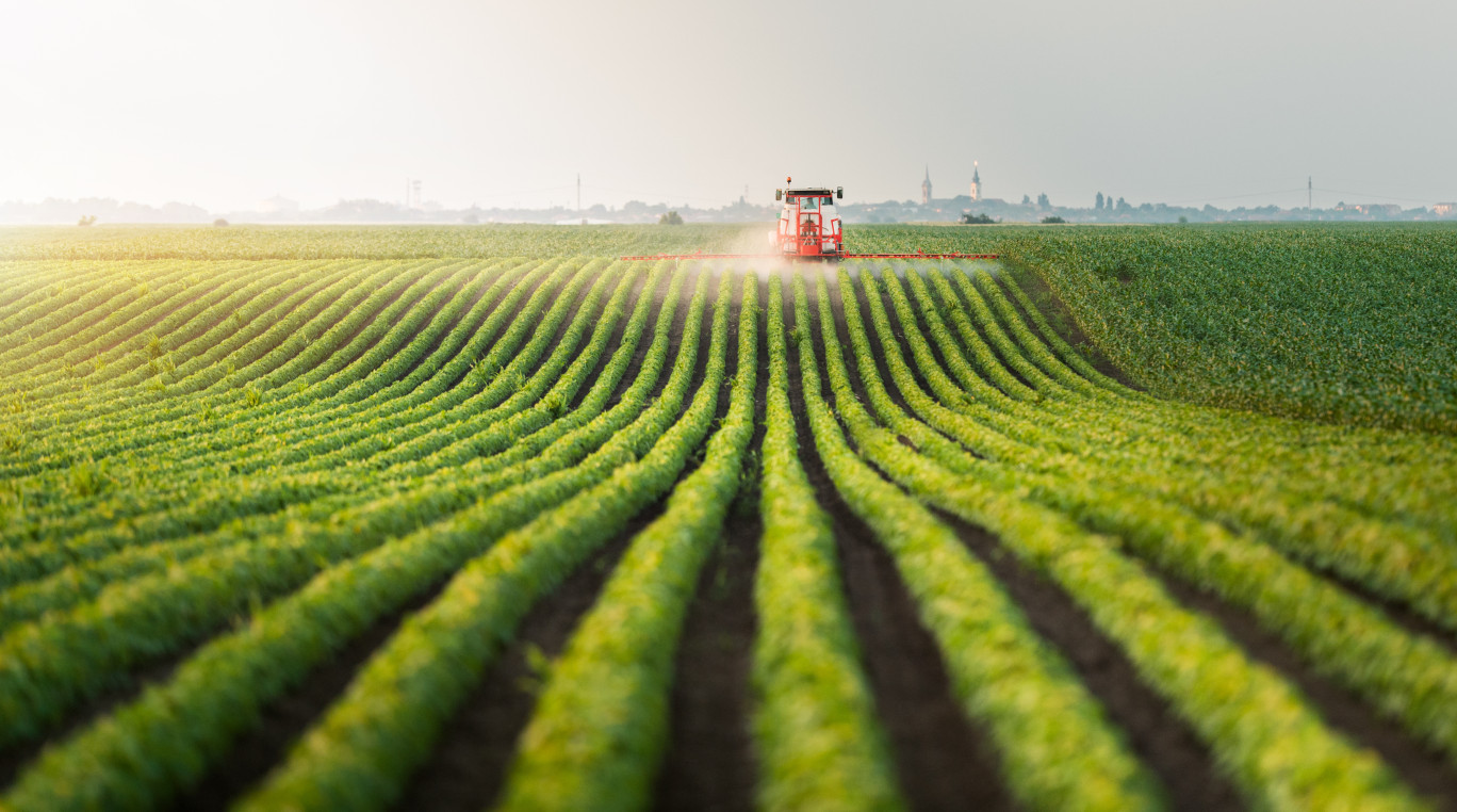 Supprimé lors de l’examen du texte par le Sénat, l'objectif inscrit d’atteindre 21% des surfaces agricoles cultivées en bio en 2030 a été rétabli par les députés. (c) Dusan Kostic