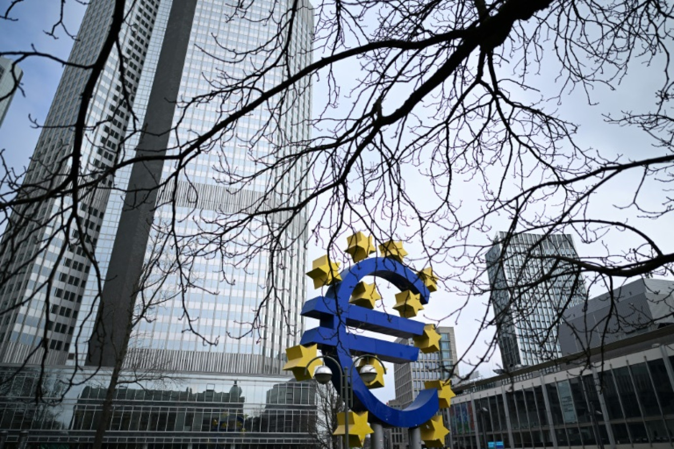 Les plans d'investissement géants annoncés par l'Allemagne rebattent les cartes pour l'économie européenne et ajoutent aux incertitudes de la BCE, qui se réunit jeudi avec en ligne de mire une nouvelle baisse des taux d'intérêt © Kirill KUDRYAVTSEV