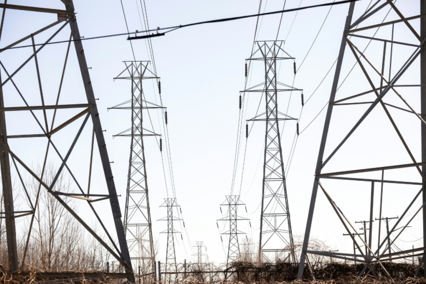 Des lignes de haute tension, le 8 mars 2025, à River Rouge, au Michigan © BILL PUGLIANO