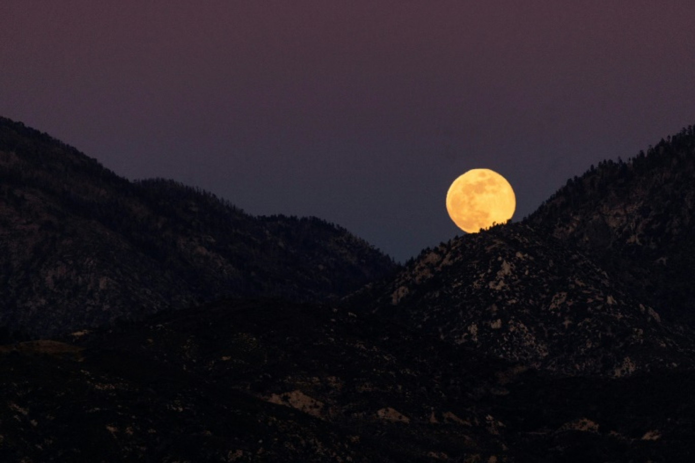 Une pleine lune, orange à cause de la fumée de l'incendie d'Eaton, se lève au-dessus des montagnes de la forêt nationale d'Angeles au nord d'Altadena, en Californie, le 13 janvier 2025 © ETIENNE LAURENT