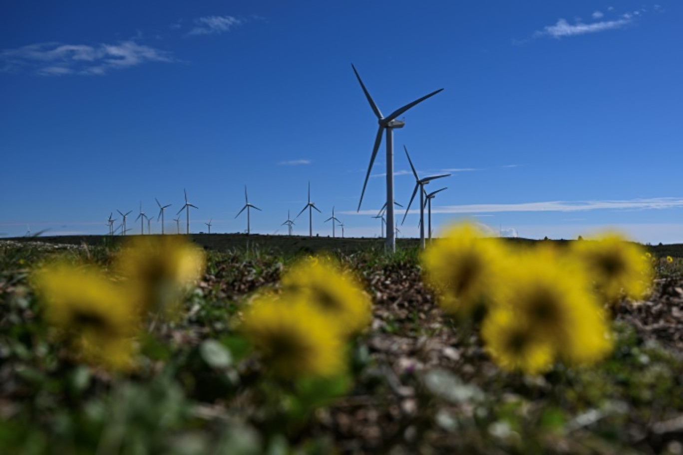 Un parc éolien à Aumelas, à l'ouest de Montpellier, le 12 mars 2025 dans l'Hérault © GABRIEL BOUYS