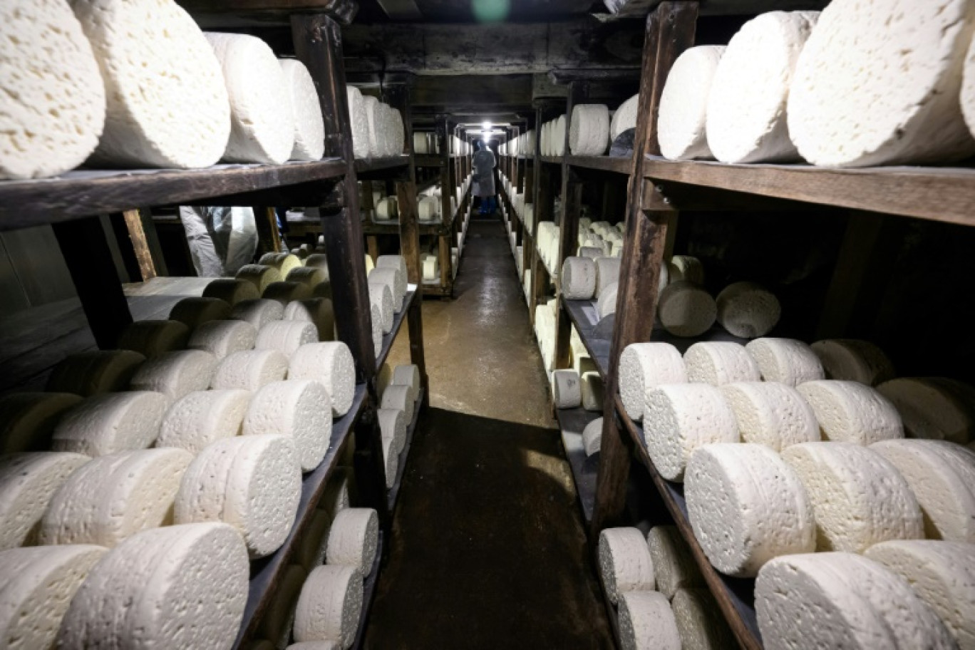 Des fromages de la laiterie des Combes dans les caves d'affinage du fromage roquefort Le Vieux Berger à Roquefort-sur-Soulzon, dans le sud de la France, le 11 mars 2025 © Lionel BONAVENTURE