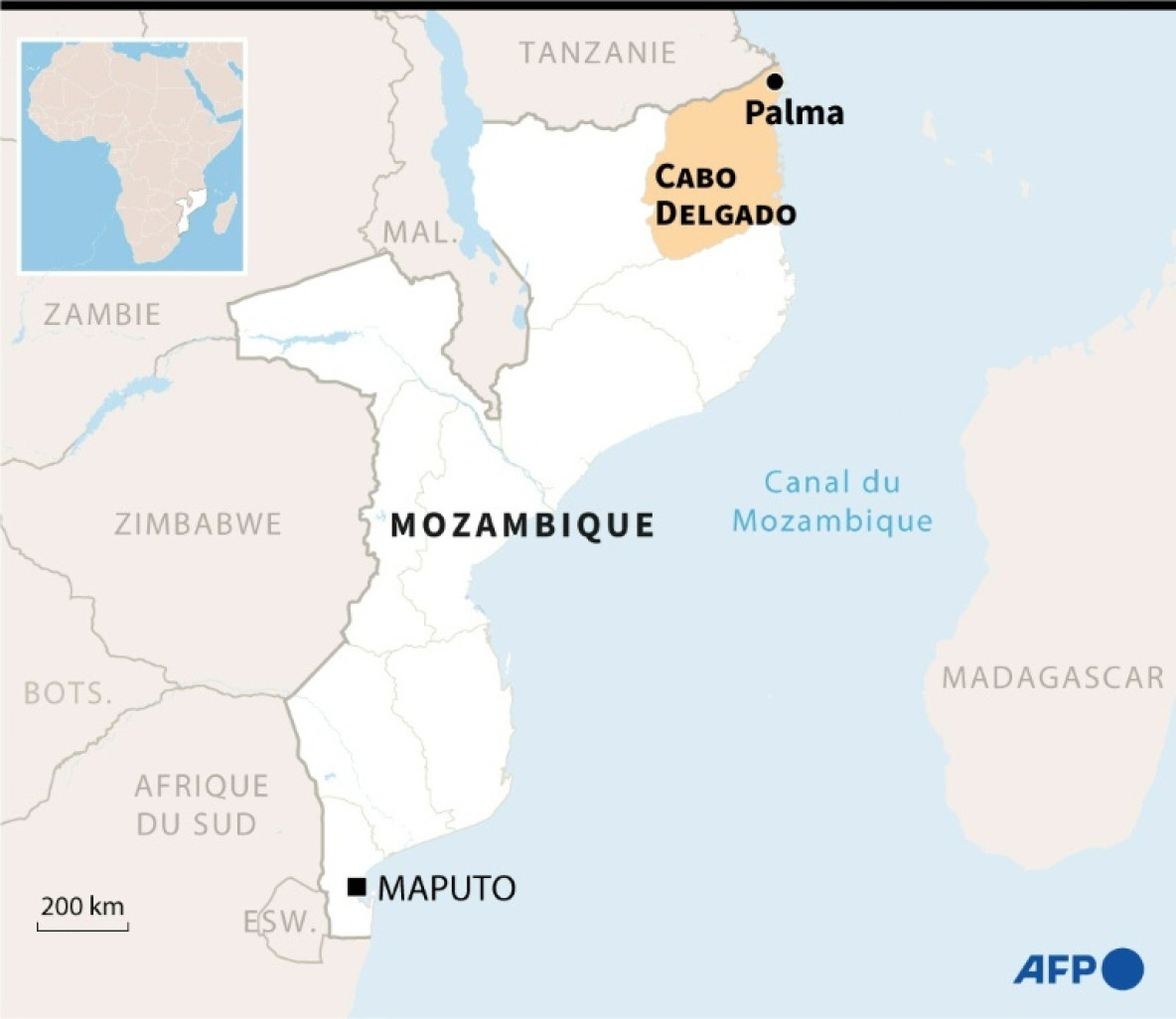 Carte du Mozambique localisant la province de Cabo Delgado et la ville de Palma, où près de 30.000 personnes ont été forcées de fuir la ville, théâtre de violents combats © Kun TIAN