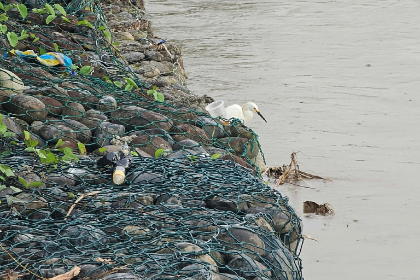 Des nappes de pétrole dans la rivière Esmeraldas au niveau du pont de Tachina après une fuite d'hydrocarbures,le 17 mars 2025 en Equateur © Julio Galarza