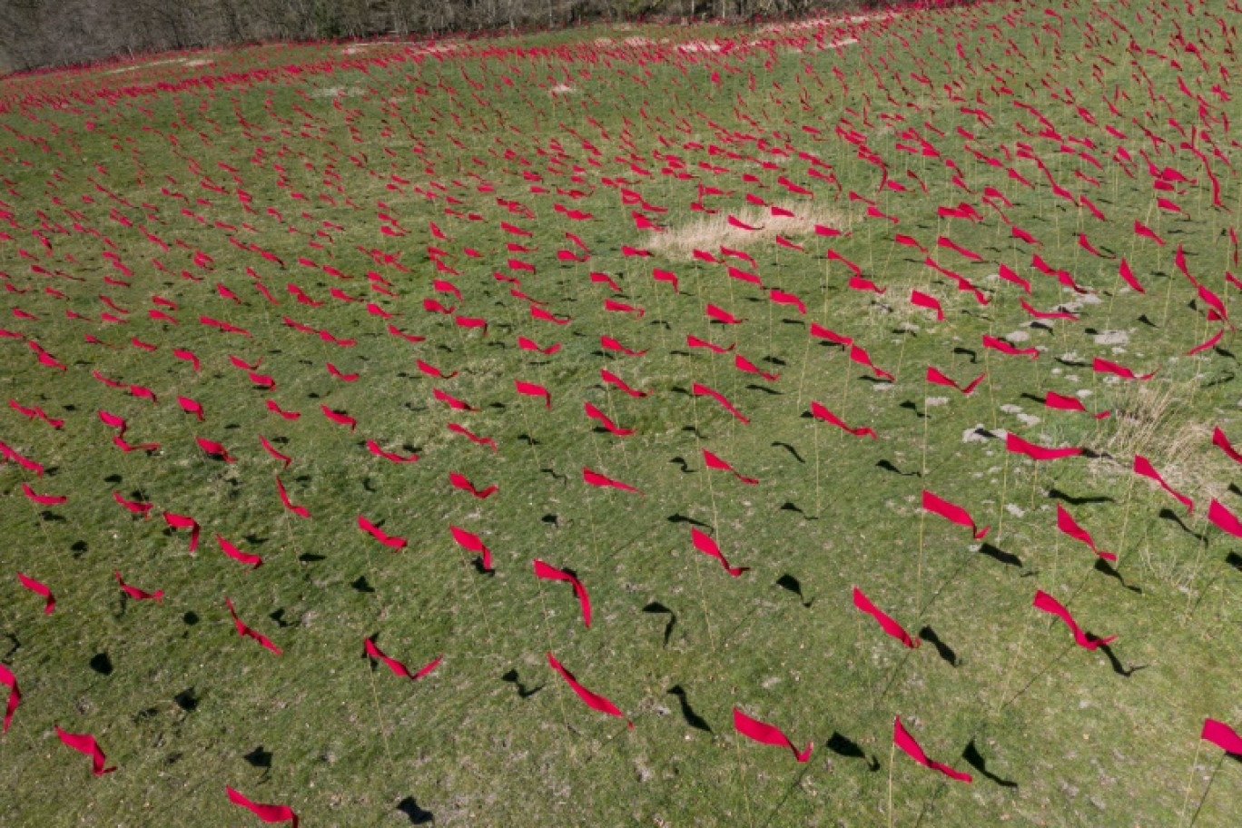 Une partie des 16.800 drapeaux rouges disposés à Romagne-sur-Montfaucon, dans la Meuse, le 20 mars 2025 © Jean-Christophe Verhaegen