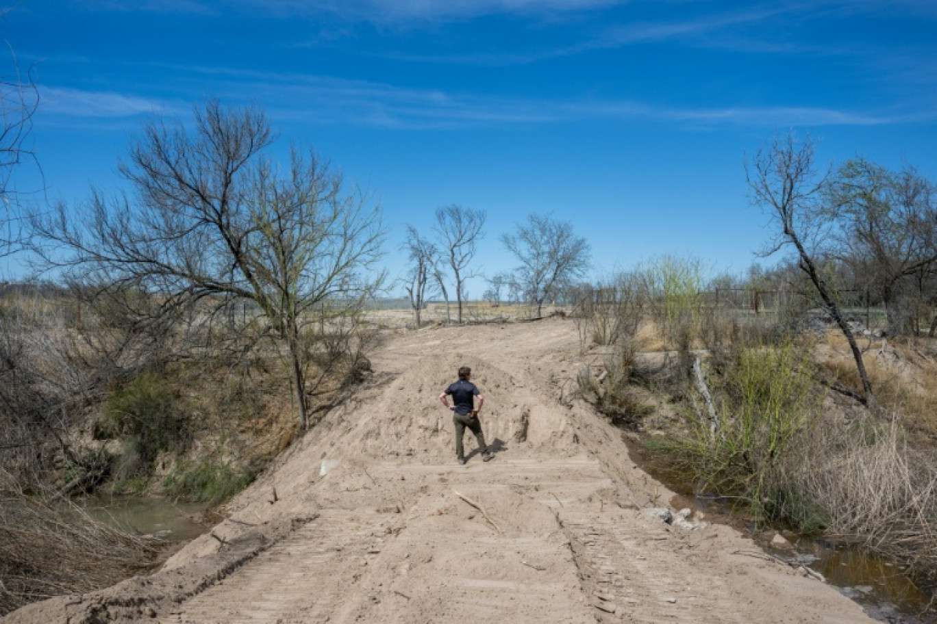 Un agriculteur scrute ses terres à Quemado, Texas, le 22 février 2023 © Brandon Bell