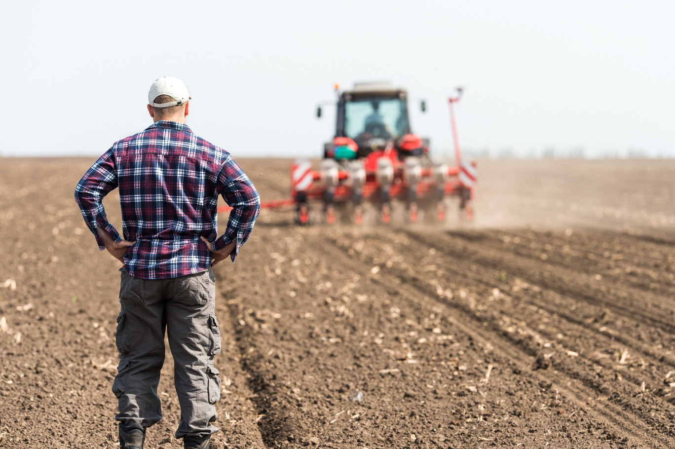 Selon les agriculteurs, leurs revenus sont en baisse depuis plusieurs années. ©Dusan Kostic